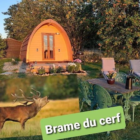 La Cabane De Tic Et Tac Hotel Tailles Exterior foto